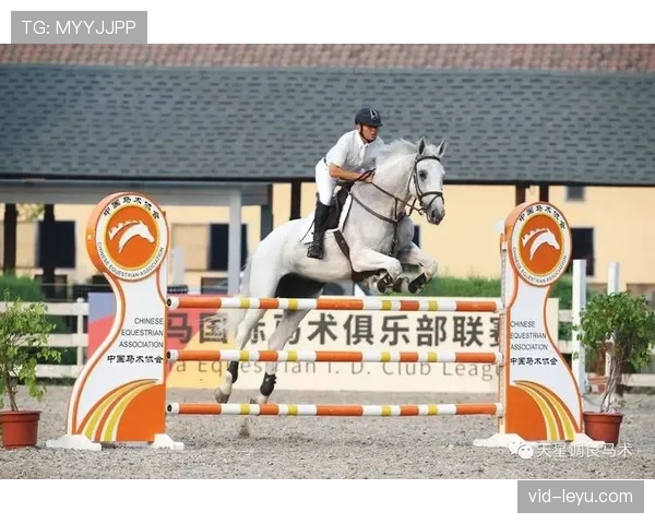 赛事储备金制度建立，按年度联赛收入5%计提应急资金